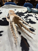 Suar Octopus Sculpture