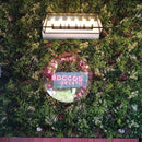 Artificial Plants Green Wall Panel - <b>EVERGREEN</b> - 1.6' x 1.6' - | DECKO VERDURE (2,56 sq. feet panel)