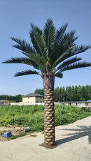Florida Palm Artificial Tree 13ft–23ft – UV Resistant (10–12 Week Lead Time)