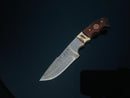 DAMASCUS STEEL FIXED BLADE KNIFE WITH WALNUT & STAG HORN HANDLE HUNTING KNIFE MINI TD-159X