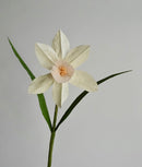 Daffodil Single Stem | Handcrafted Paper Flower