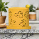 Monstera Leaf Planter
