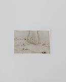 Traces of the Field I - Artist's Original Artwork