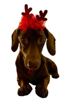 Festive Holiday Reindeer Hat