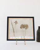 Botanical Thoughts II