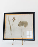 Botanical Thoughts II