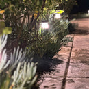 BPLP01 Brutus 15" Black Brass Bollard Light Low Voltage Outdoor Lighting