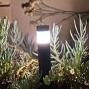 BPLP01 Brutus 15" Black Brass Bollard Light Low Voltage Outdoor Lighting
