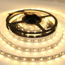 SL05 Strip Light RGB 5050 4.8W/ft 10mm DC12V Low Voltage LED Outdoor IP65 UL SMD Tape Light