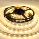 SL09 Strip Light RGBW 5050 4.5W/ft 12mm DC24V Low Voltage LED Outdoor IP20/IP65 UL SMD Tape Light