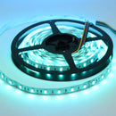 SL09 Strip Light RGBW 5050 4.5W/ft 12mm DC24V Low Voltage LED Outdoor IP20/IP65 UL SMD Tape Light