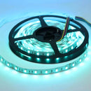 SL05 Strip Light RGB 5050 4.8W/ft 10mm DC12V Low Voltage LED Outdoor IP65 UL SMD Tape Light