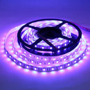 SL09 Strip Light RGBW 5050 4.5W/ft 12mm DC24V Low Voltage LED Outdoor IP20/IP65 UL SMD Tape Light