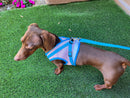 Houdini Weenie No-Escape Harness