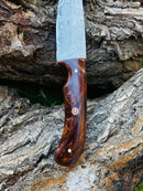 Hand forged knife, Damascus knife, Drop- Style blade, Acrylic Scales by Titan TK-053 (1)