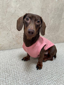 Teddy Waffle Shirt
