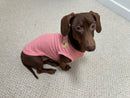 Teddy Waffle Shirt