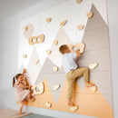 Indoor Climbing Wall