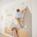 Indoor Climbing Wall