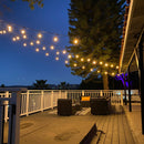 SL101 3000K Warm White LED Low Voltage Bistro String Lights 48 FT Outdoor Weatherproof 12V Edison Bulbs