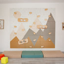 Indoor Climbing Wall