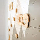 Indoor Climbing Wall