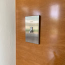 CleanPlate Classic Wall Plate in Stainless Steel for Toggle Switches