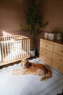 Zara Wallpaper by Thoroughfare Design