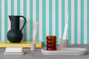 The Vanity Tray