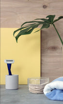 The Electric Toothbrush Holder