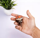 Tomatoed 1-29/50 in. Red Cabinet Knob (Pack Of 5)