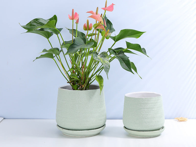 plant pots with attached saucer Hand Rolled Pot With Attached Saucer By Plantatorem