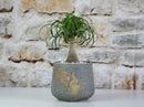 Round Hand Formed Planter