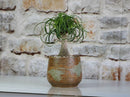 Round Hand Formed Planter