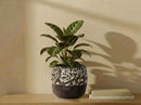 Hexagon Handformed Planter