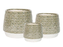 Petal Planter Cup