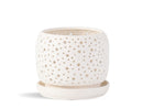 Rain Drop Orchid Planter-Sand By Plantatorem