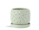 Rain Drop Orchid Planter-Sand By Plantatorem