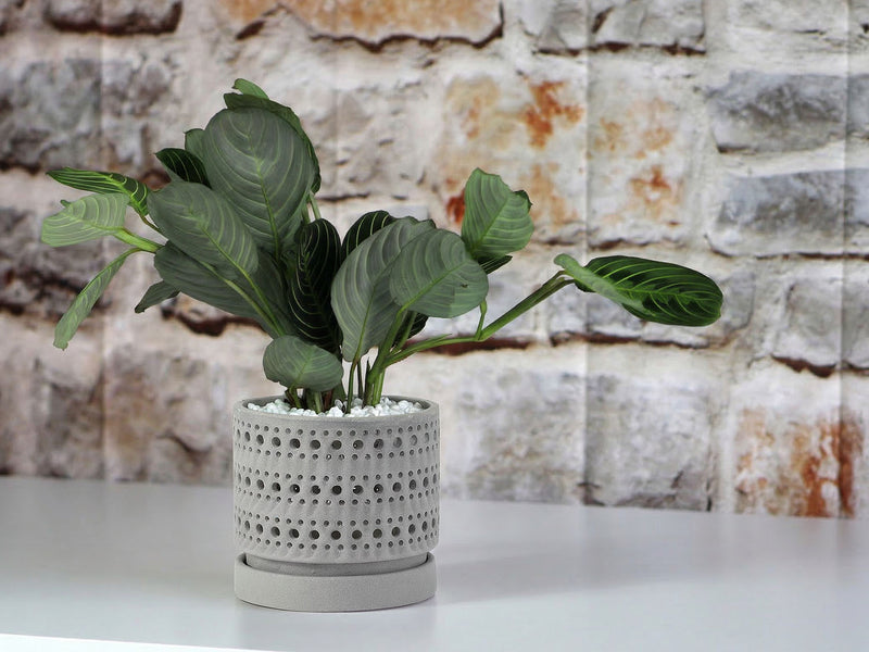 planter with saucer attached Buy Moon Gate Orchid Planter Sand 7.5" D x 6.5" H (Case of 4) / Sand Sage Green