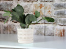 Moon Gate Orchid Planter with Attached Saucer - Sand By Plantatorem