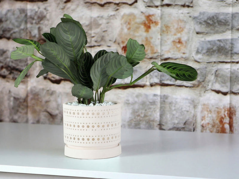 ceramic planter with attached saucer Buy Moon Gate Orchid Planter Sand 7.5