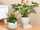 Hand Formed Grower Pot By Plantatorem