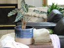 Jewel Mug Planter By Plantatorem