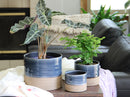 Jewel Mug Planter By Plantatorem