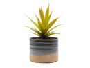 Jewel Mug Planter By Plantatorem