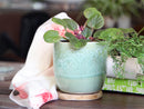 Jewel Teacup Planter By Plantatorem
