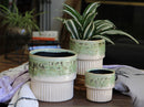 Jewel Martini Planter By Plantatorem