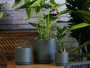 Cylinder with Attached Saucer By Plantatorem