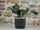 Cube with Attached Saucer By Plantatorem