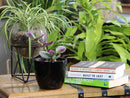 Peace Lily Cache Pot By Plantatorem